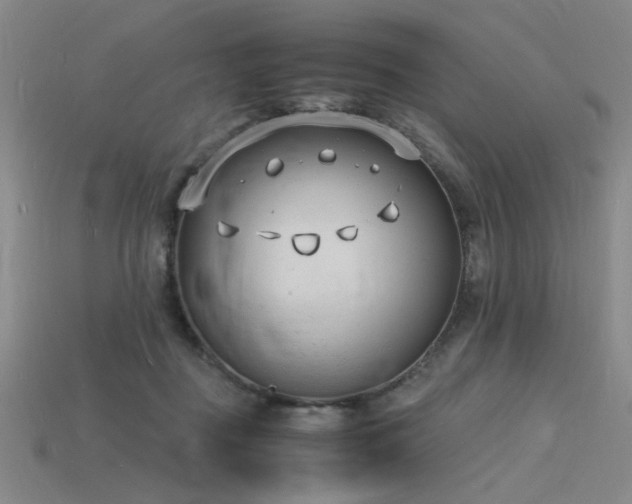 X0000115840363200911131535
