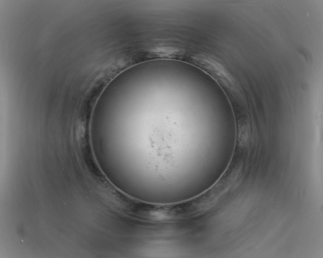 X0000115840365200911131535