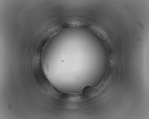 X0000115840369200911131536
