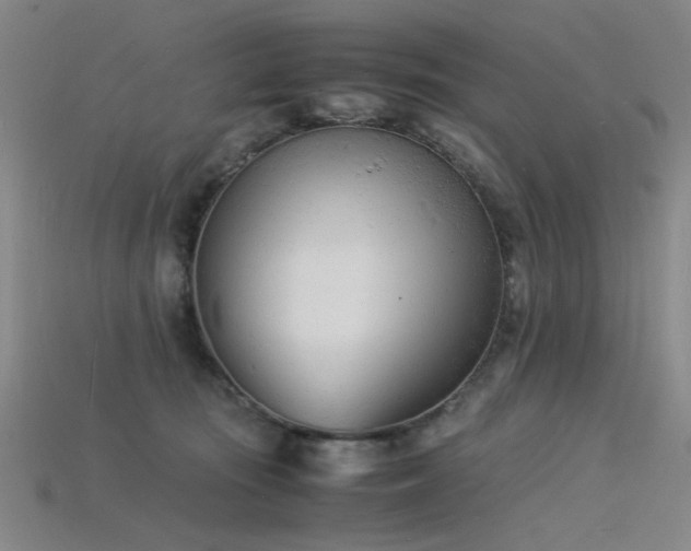 X0000115840371200911131536