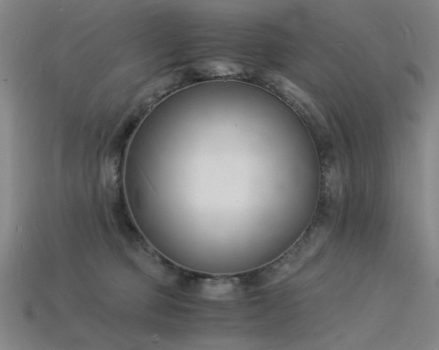 X0000115840373200911131536