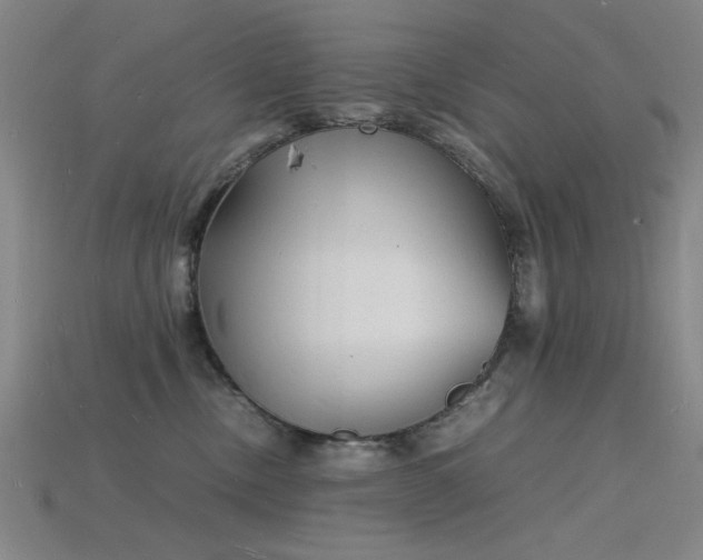 X0000115840378200911131536