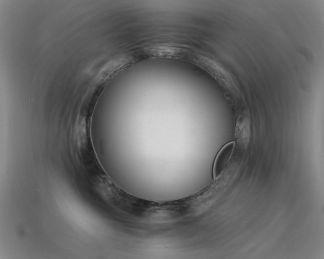 X0000115840381200911131536