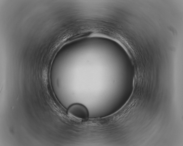 X0000115840386200911131535