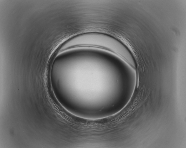 X0000115840387200911131535