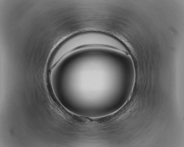 X0000115840391200911131535