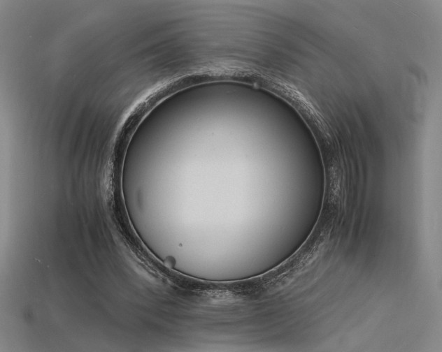 X0000115840392200911131535