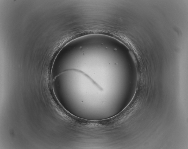 X0000115840393200911131535