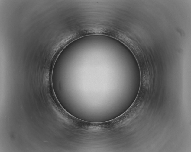 X0000115840394200911131535