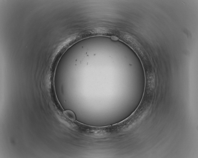 X0000115840395200911131535