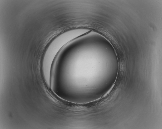 X0000115840397200911131535