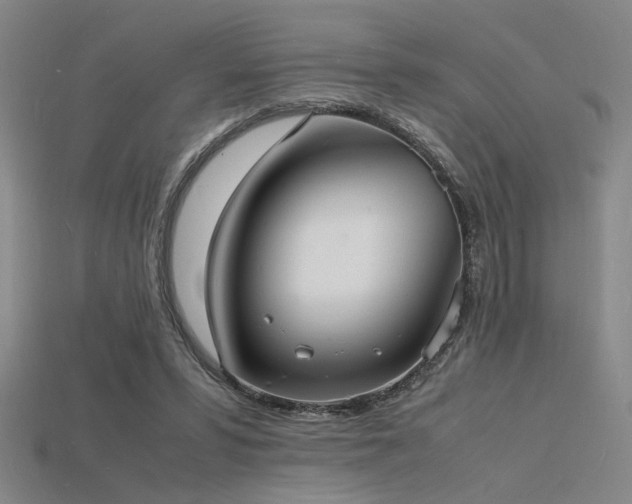 X0000115840399200911131535