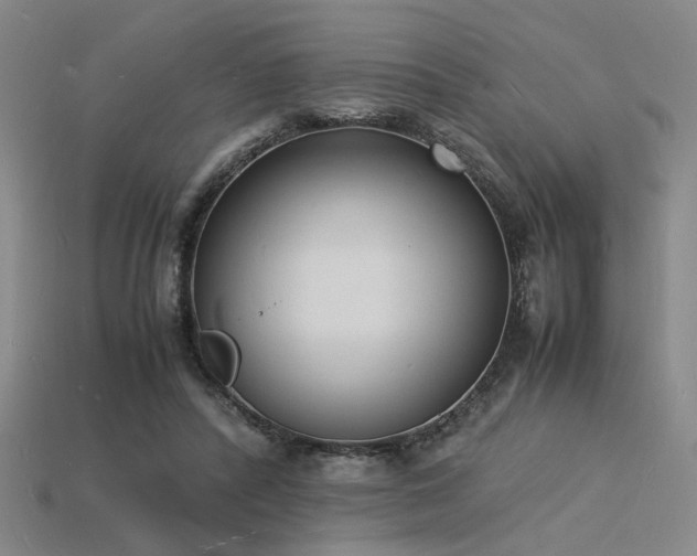 X0000115840400200911131535