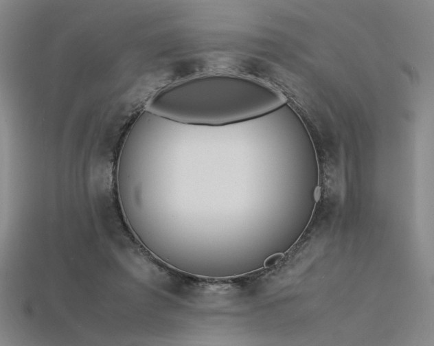 X0000115840401200911131535