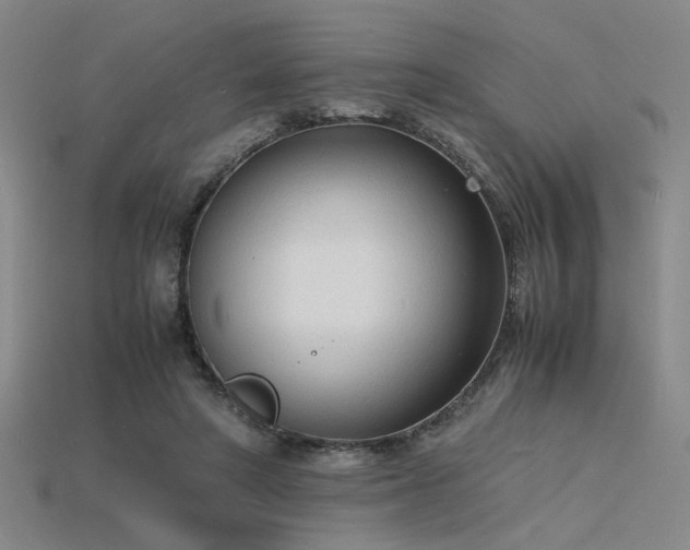 X0000115840402200911131535