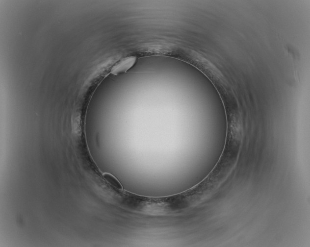 X0000115840403200911131535