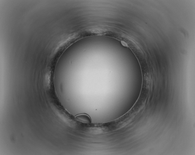 X0000115840404200911131535