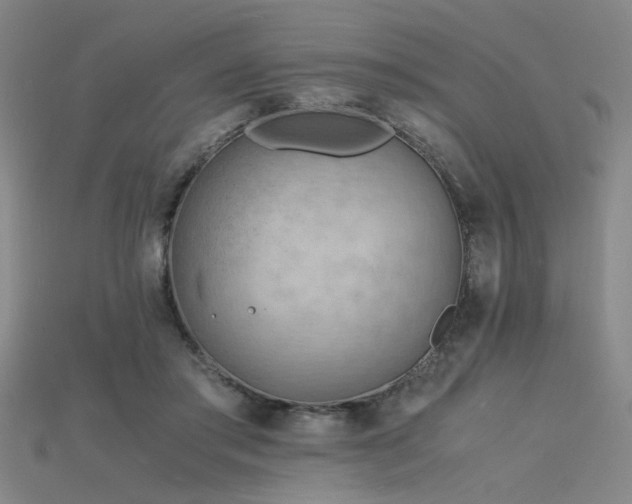 X0000115840405200911131535