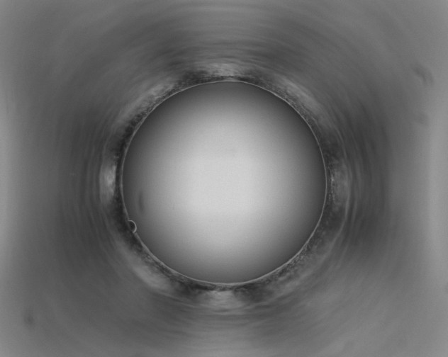 X0000115840406200911131535