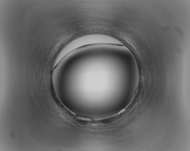 X0000115840407200911131535