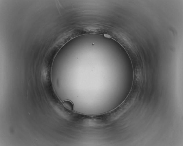 X0000115840408200911131535