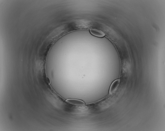 X0000115840409200911131535
