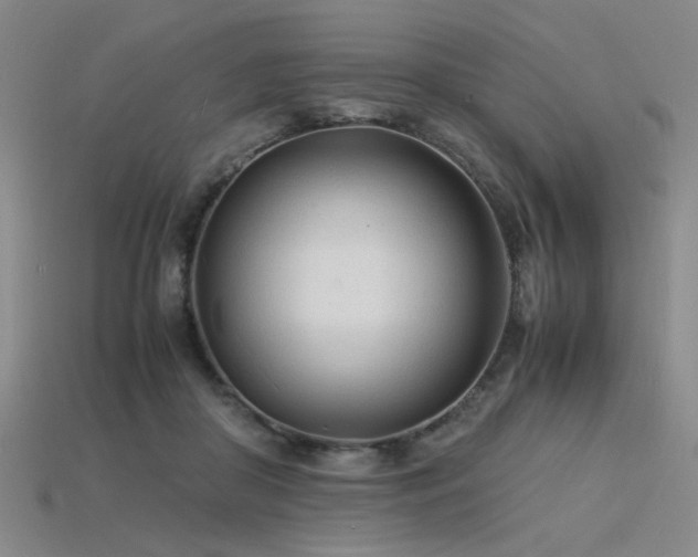 X0000115840410200911131535