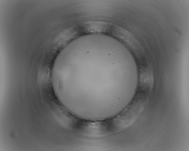 X0000115840411200911131535