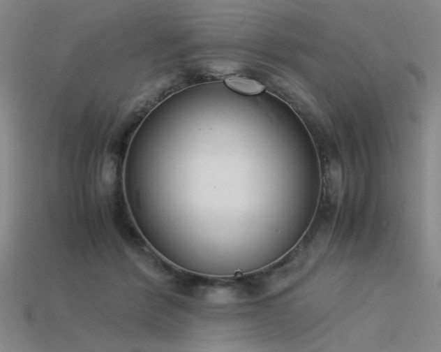 X0000115840412200911131535