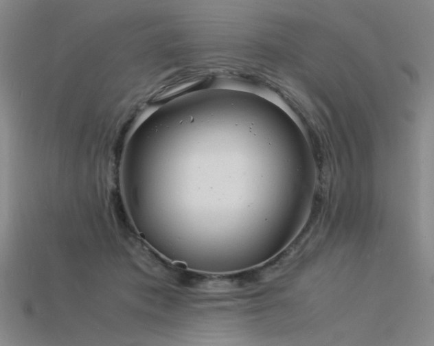 X0000115840413200911131535