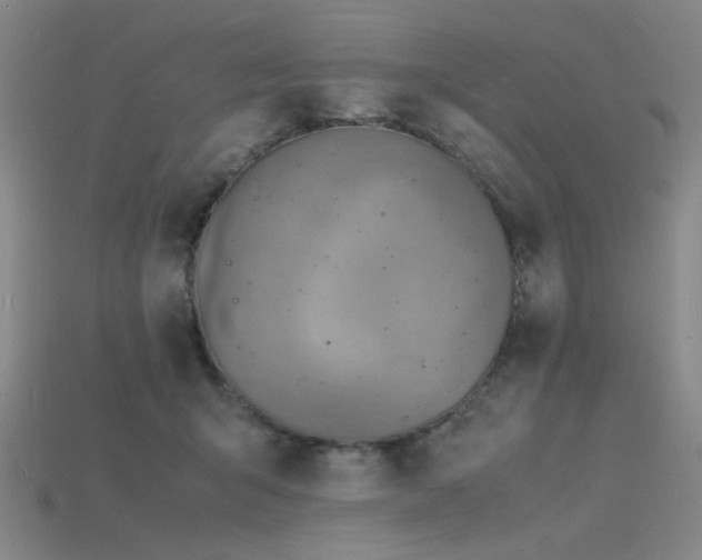 X0000115840415200911131535
