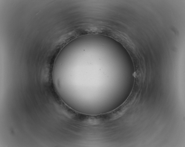 X0000115840416200911131535