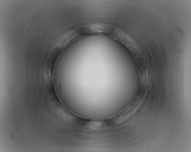 X0000115840418200911131535