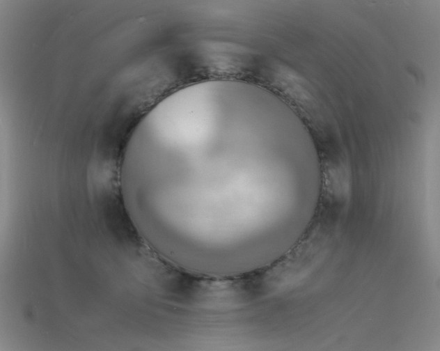 X0000115840419200911131535
