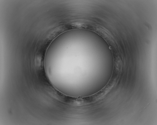 X0000115840420200911131535