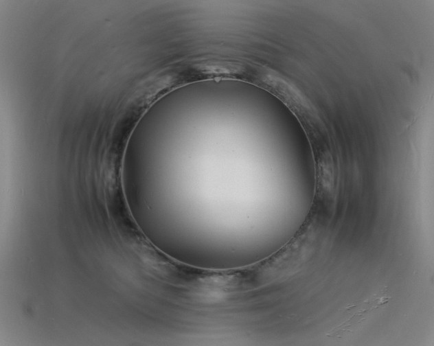 X0000115840422200911131535