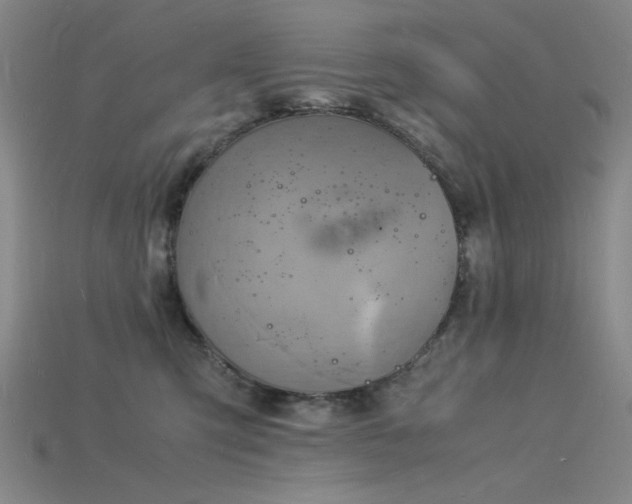 X0000115840423200911131535
