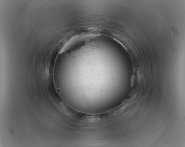 X0000115840424200911131535