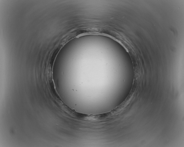 X0000115840425200911131535