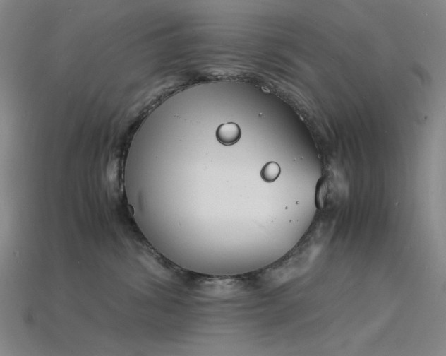 X0000115840428200911131535