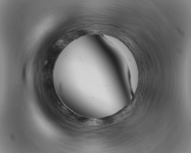 X0000115840429200911131535