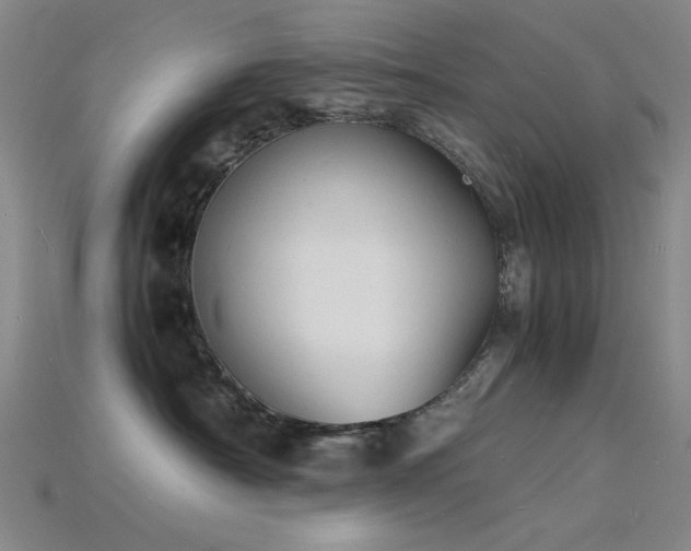 X0000115840430200911131535