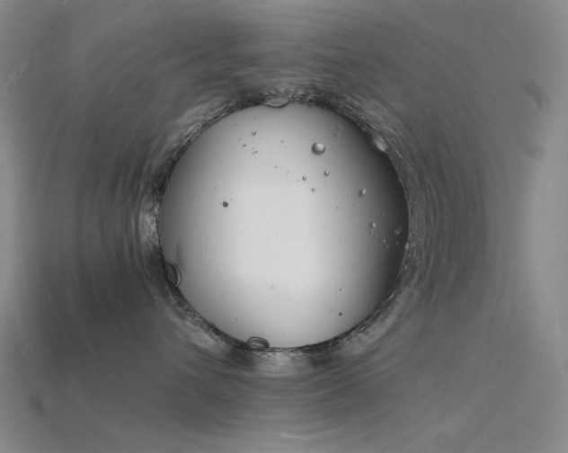 X0000115840432200911131535