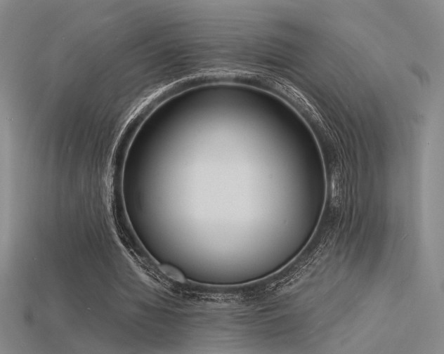 X0000115840436200911131534
