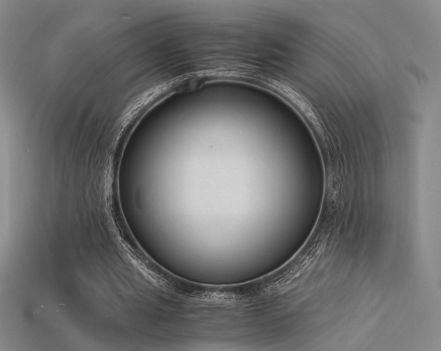 X0000115840437200911131534