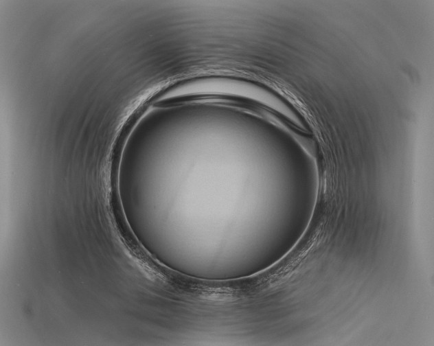 X0000115840438200911131534