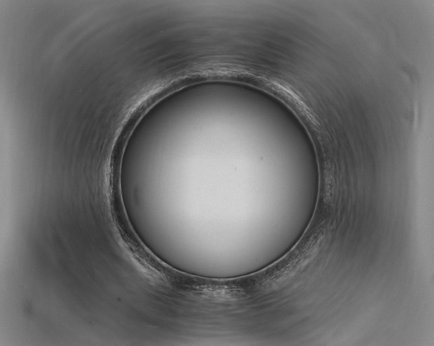 X0000115840439200911131534