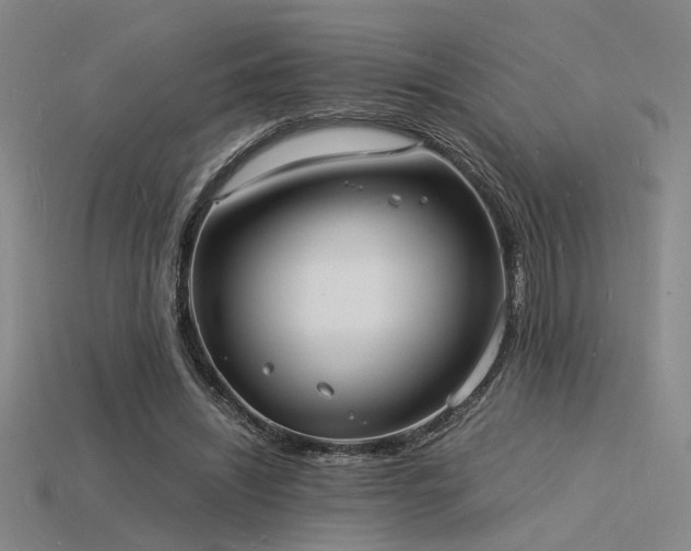 X0000115840444200911131534