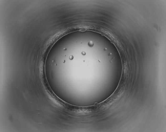 X0000115840445200911131534