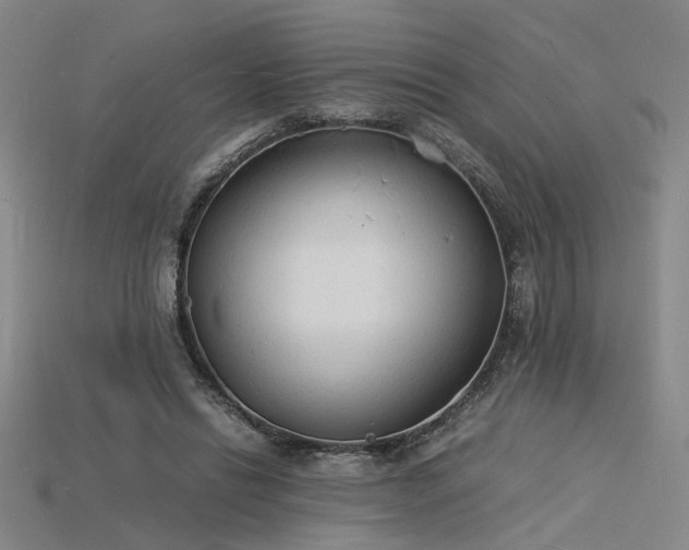 X0000115840446200911131534